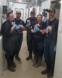 Crew_FIrst Farrows Crew_FIrst Farrows